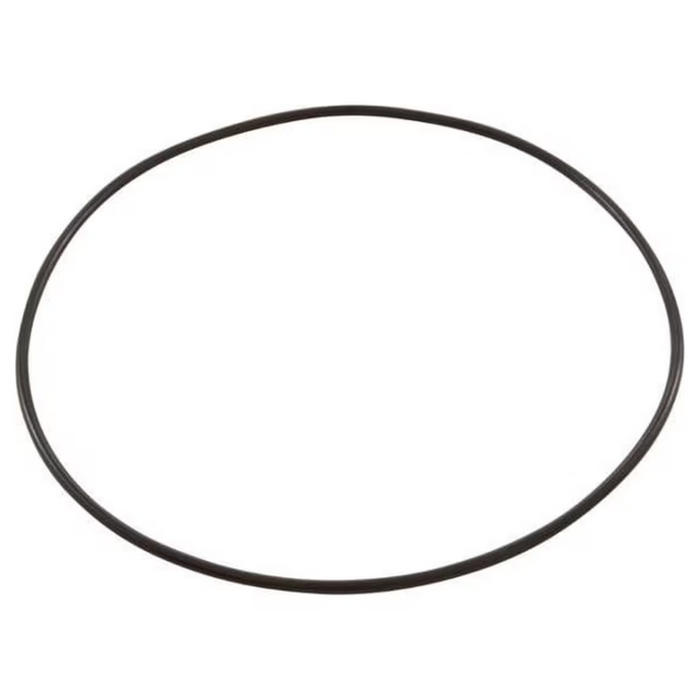 Pentair 271151 Replacement O-Ring 2" Valve Top