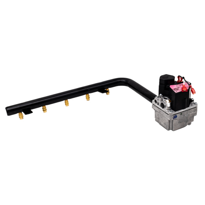 Hayward Natural Gas to Propane Conversion Kit H250 H250FD Heater (FDXLGCKW250NP)