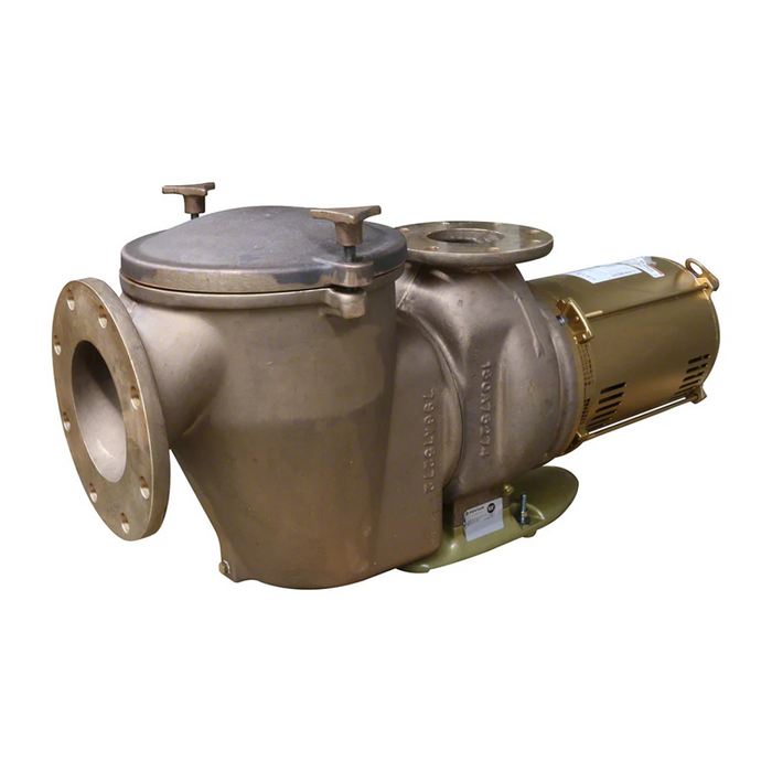 Pentair 7.5HP C Series High Head Commercial Bronze Pump - 230V 1-Phase (CH-75 347916)