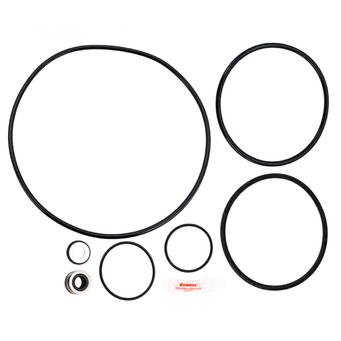 Pentair Challenger CHII Series Pump Repair Kit