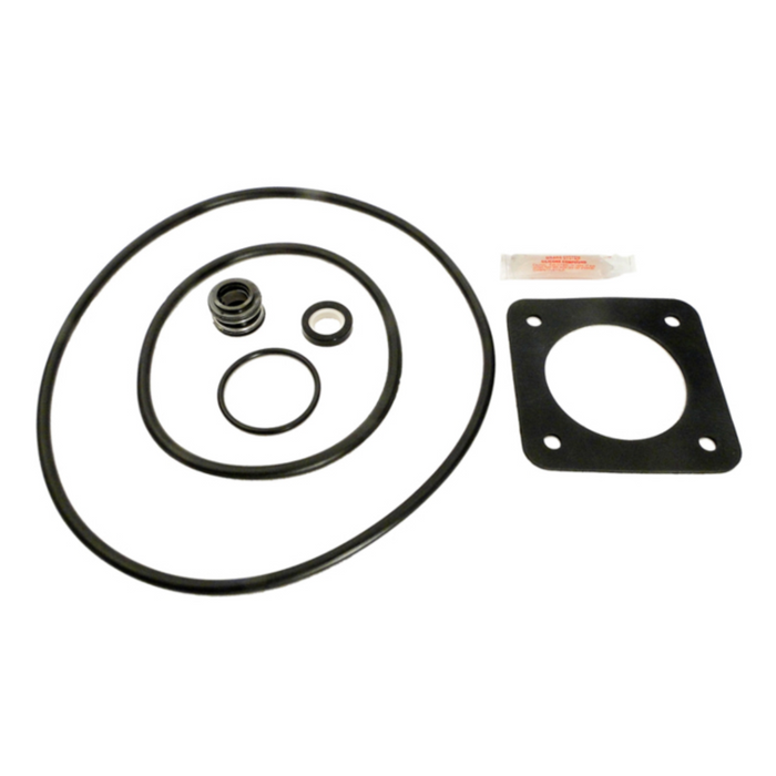Pentair Sta-Rite Dura-Glas and Max-E-Glas Pump Repair Kit - Pre 1998 Models