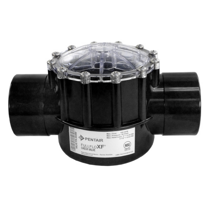 Pentair 2.5" Check Valve CPVC 263060 (3 in. slip outside)