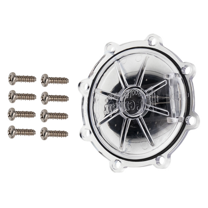 Pentair 263042Z 2" & 2.5" Check Valve Rebuild Kit