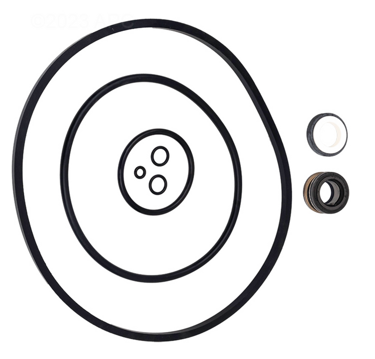 Pentair Max-E-Pro IntelliPro Pump Motor Repair Kit