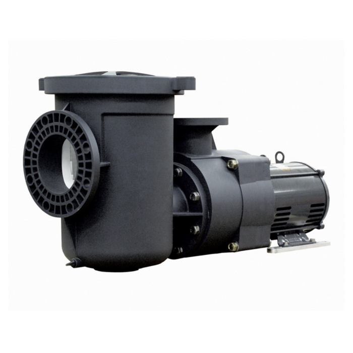 Pentair 340238 EQ Series EQ-1000 10 HP Pump 1-Phase 230V