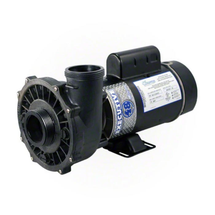 Waterway 3420610-1A Executive 1.5 HP 2 Speed 48Y Pump 2" 115V