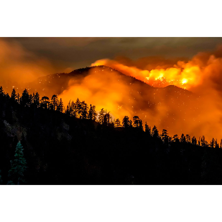 How Do Wildfires Affect Your Drinking Water?