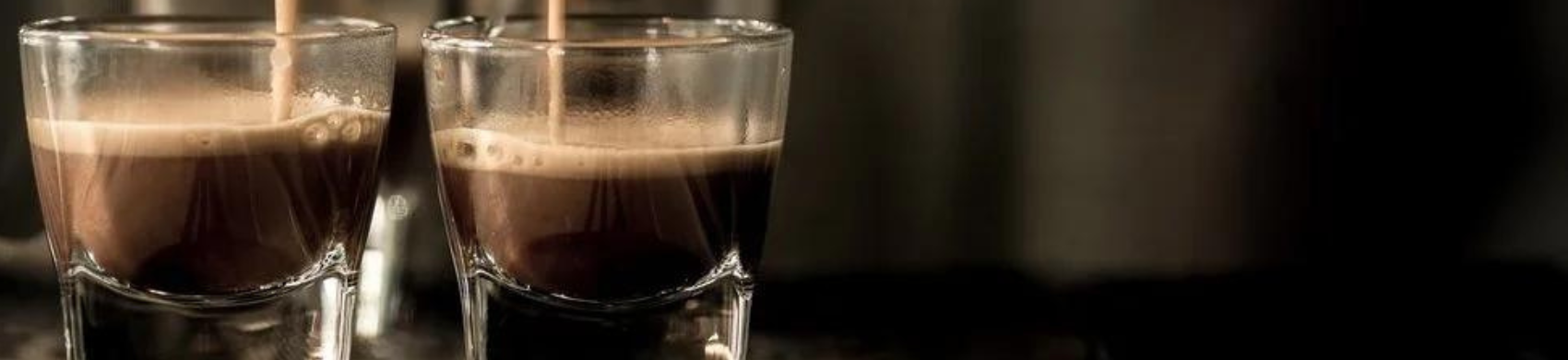 Omnipure Espresso Cappuccino Machine Water Filter Kits - Vita Filters