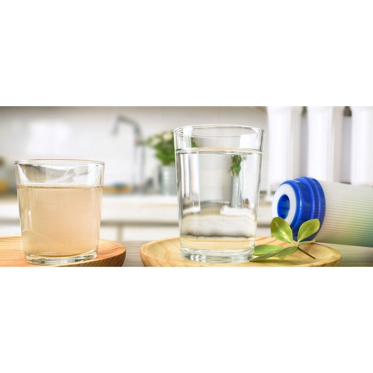 Reverse Osmosis Vs. Water Filter: Know Their Differences-Vita Filters
