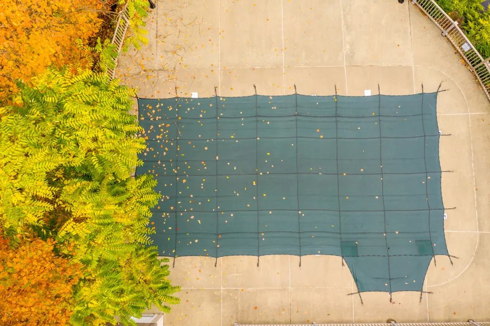 The Best Time of Year to Buy Pool Equipment (Hint: It’s Fall) - Vita Pool Supply