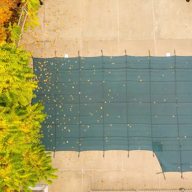 The Best Time of Year to Buy Pool Equipment (Hint: It’s Fall) - Vita Pool Supply
