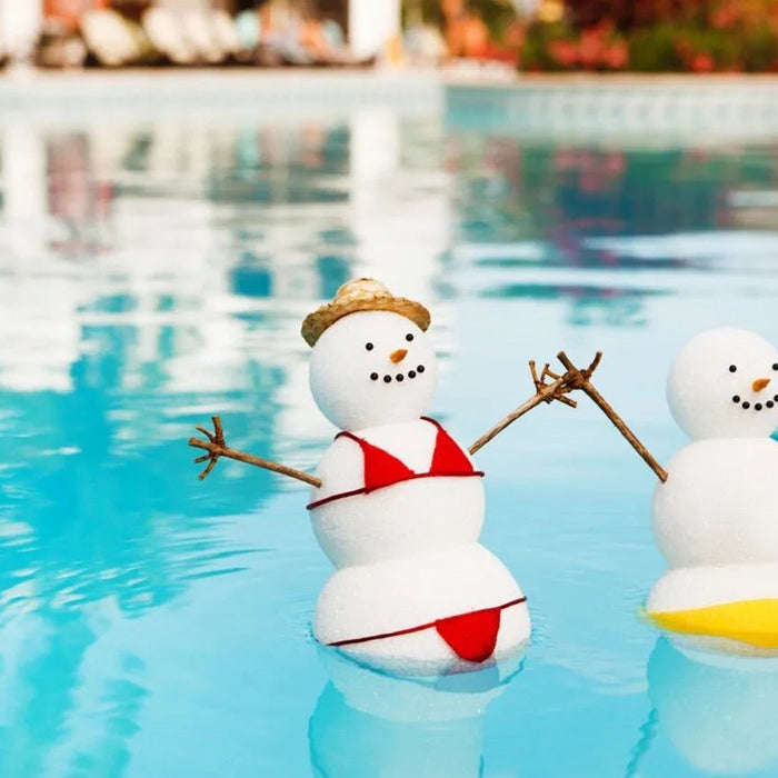 Winter Pool Equipment Maintenance: What to Check Monthly