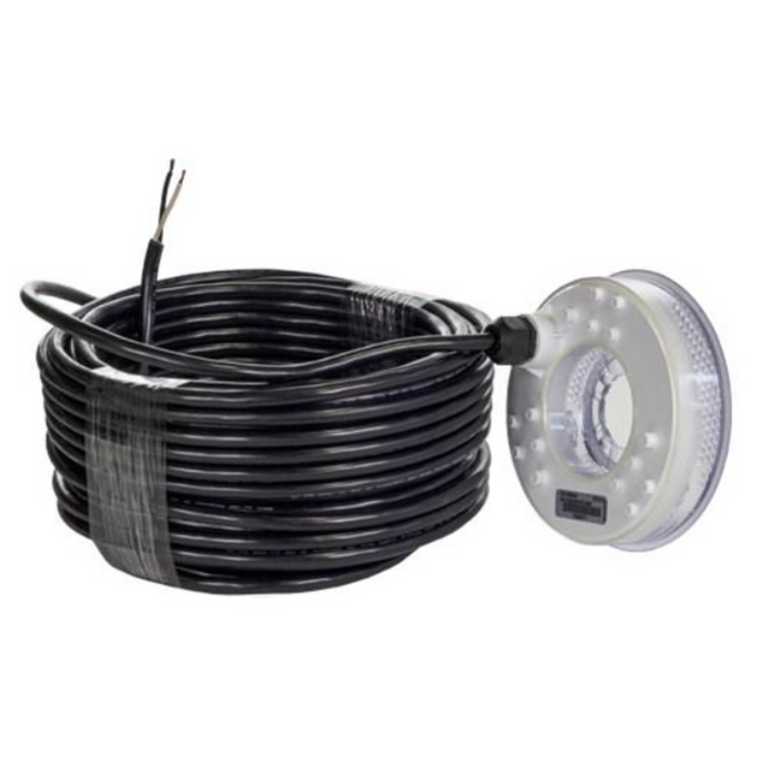 Pentair LED Bubbler Replacement Light Engine 100' Cord (590046)
