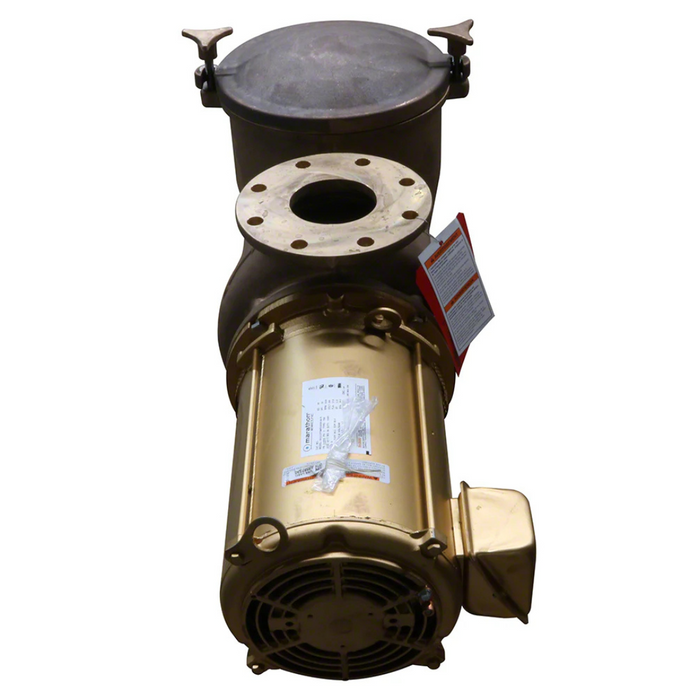 Pentair 7.5HP C Series High Head Commercial Bronze Pump - 230V 1-Phase (CH-75 347916)