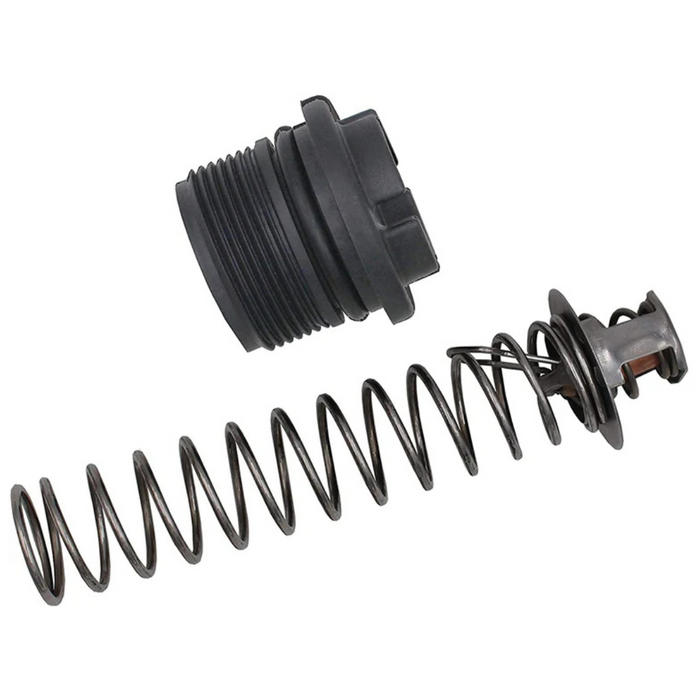 Pentair 77707-0010 Thermal Regulator Kit