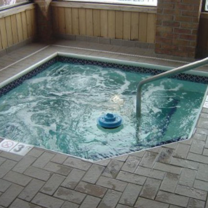 Pool Patrol Floating Pool Alarm With Remote PA30 PA-30
