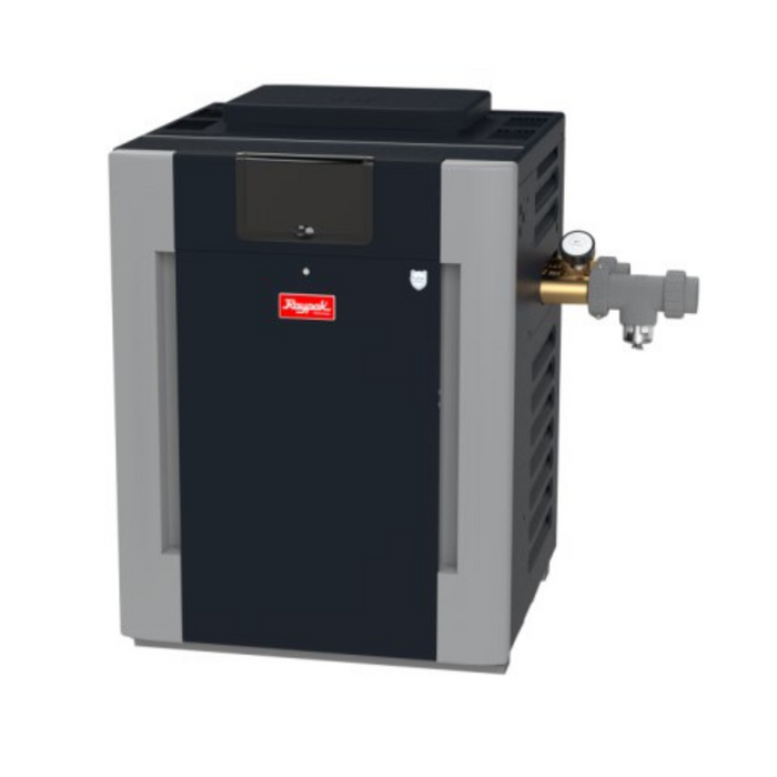 A gray and black Raypak 017371 ASME Heater #50 standing against a white background, complete with a gauge and fittings. This heater features advanced digital ignition for efficient natural gas heating, boasting a capacity of 200K BTU suitable for altitudes up to 2,000 feet.