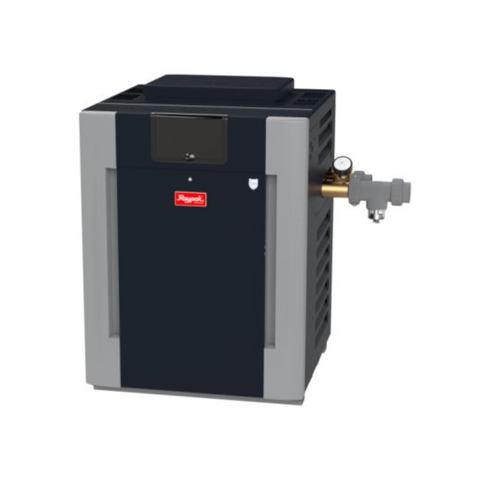 Raypak 017400 266A ASME Heater #50, Natural Gas, Cupronickel, 266K BTU, 0-2K'