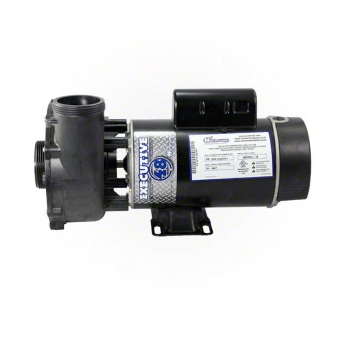 Waterway 3420610-1A Executive 1.5 HP 2 Speed 48Y Pump 2" 115V