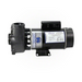 Waterway 3420610-1A Executive 1.5 HP 2 Speed 48Y Pump 2" 115V
