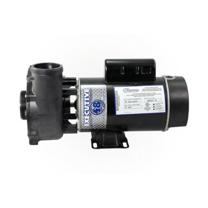 Waterway 3421821-1A Executive 4.5 HP 2 Spd 48Y Pump 2"