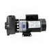 Waterway 3421821-1A Executive 4.5 HP 2 Spd 48Y Pump 2"