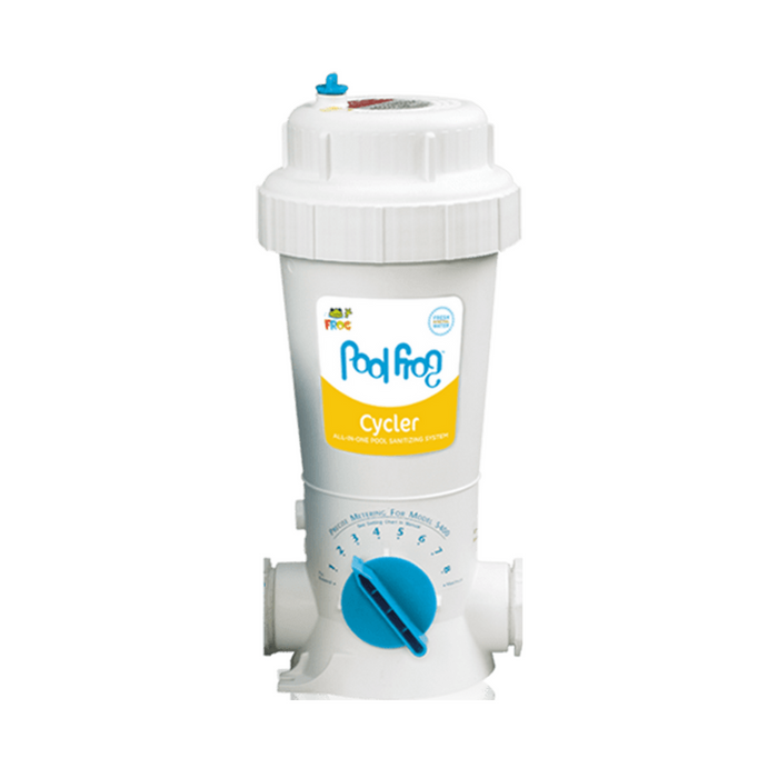 Pool Frog 5400 In-ground Mineral System 01-01-5480