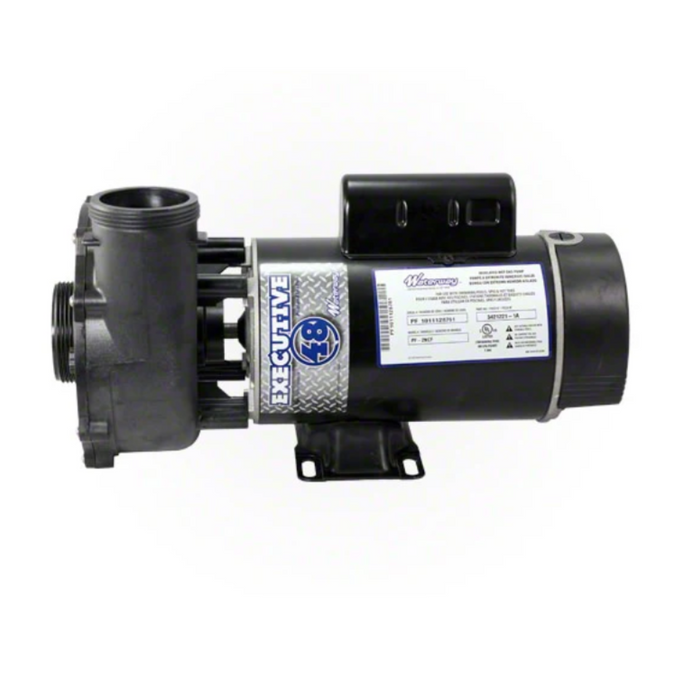 Waterway 3420820-1A 2.0 HP Spa Pump 2 Speed 48Y 230V 2" Intake & Discharge