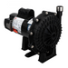 Waterway Booster Pump 3/4 HP 3810430-1PDA