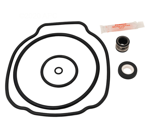 APC APCK1090A Repair Kit for Hayward Ecostar/Energyflo Tristar – Vita Pool Supply