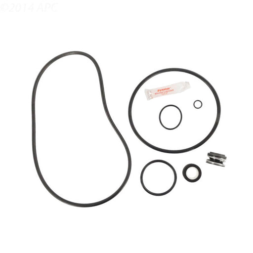 APC APCK1185 Repair Kit for Sta - Rite Max - E - Pro O - Ring Go - Kit – Vita Pool Supply
