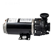 Balboa 1 HP 115V 2SP 48FR 10.4A Dura - Jet Pump (4239110 - S) – Vita Pool Supply
