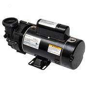Balboa 2 HP 115V 2SP 48FR 13.3A Dura - Jet Pump (4239113 - S) – Vita Pool Supply