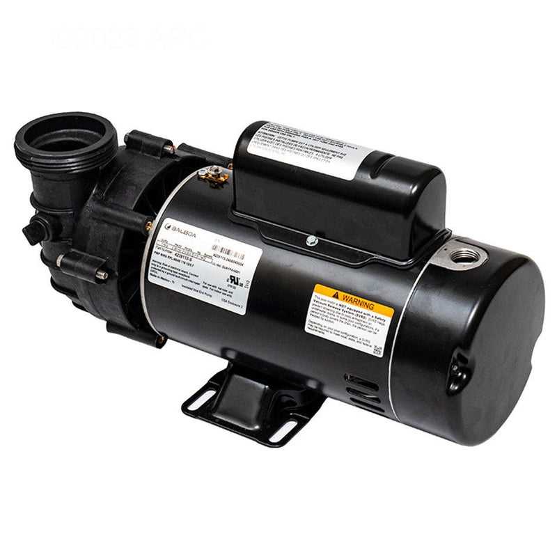 Balboa 2 HP 115V 2SP 48FR 13.3A Dura - Jet Pump (4239113 - S) – Vita Pool Supply
