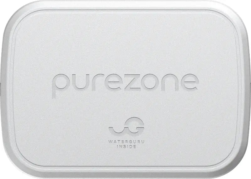 Balboa Purezone Water Monitoring System with Dock 97000 – Vita Pool Supply