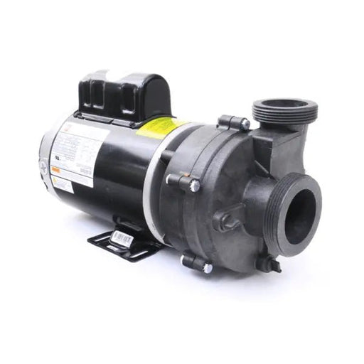 Balboa Ultimax Spa Pump 2.5 HP 2 Speed 230V 10.7A 10 - 5239208 - K – Vita Pool Supply