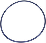 Blue Square Abyss Canister O - Ring, 502004 – Vita Pool Supply