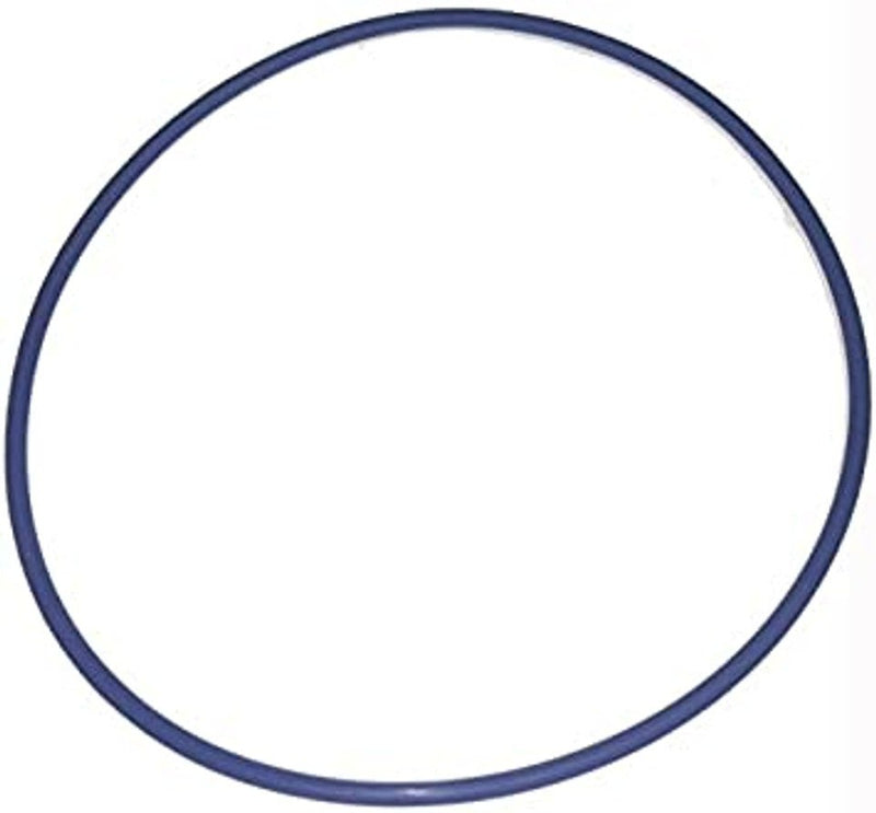 Blue Square Abyss Canister O - Ring, 502004 – Vita Pool Supply