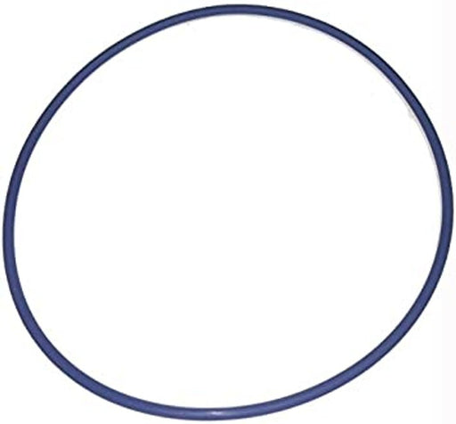 Blue Square Abyss Canister O - Ring, 502004 – Vita Pool Supply