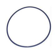 Blue Square Actuator O - Ring, 1130799 – Vita Pool Supply