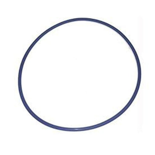 Blue Square Actuator O - Ring, 1130799 – Vita Pool Supply