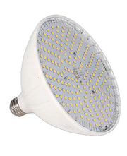 Blue Square Vivid 360 LED Spa Light Bulb Only, 20W 120V White, VLB2501 - WT – Vita Pool Supply