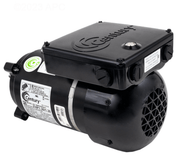 Century 1.3 HP 115/230V C - Face V - Green EVO Variable Speed Motor EVC130 – Vita Pool Supply