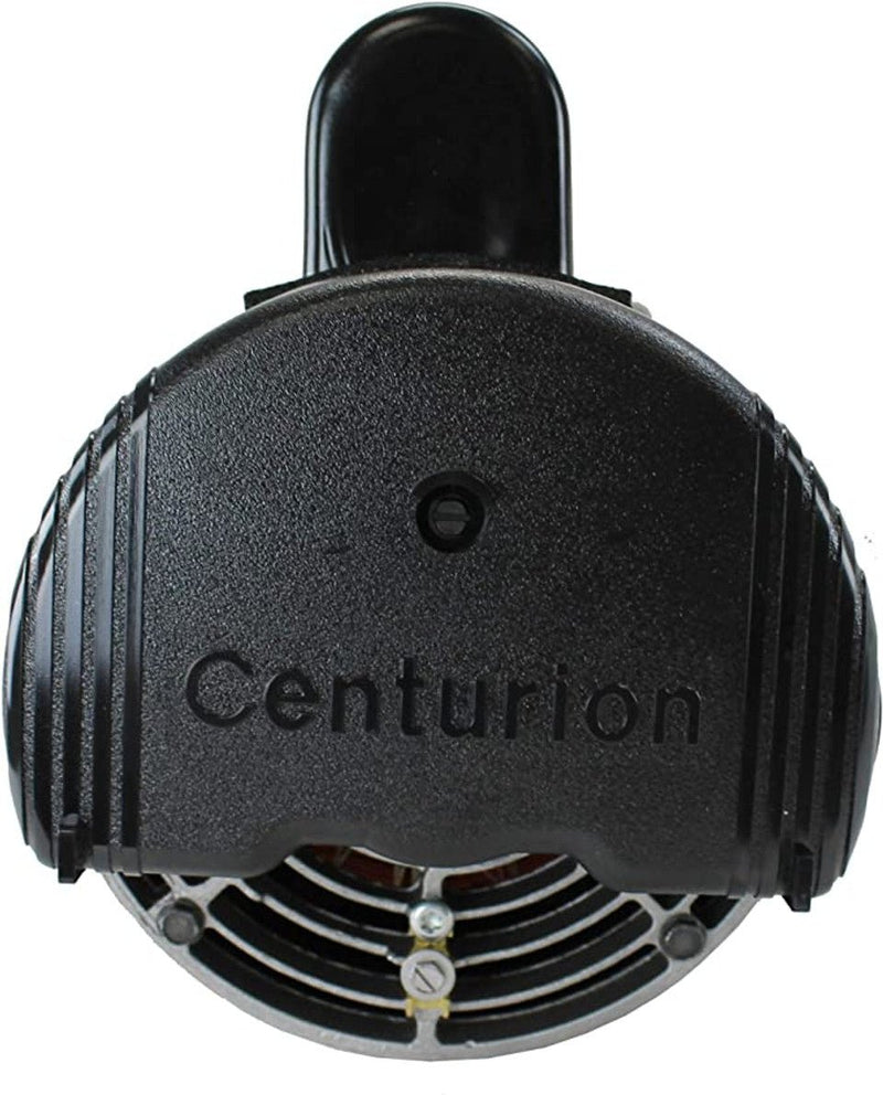 Century 1HP 56Y Square Flange Up - Rated Pump Motor 14.2/7.1A 115/230V (B2853) – Vita Pool Supply