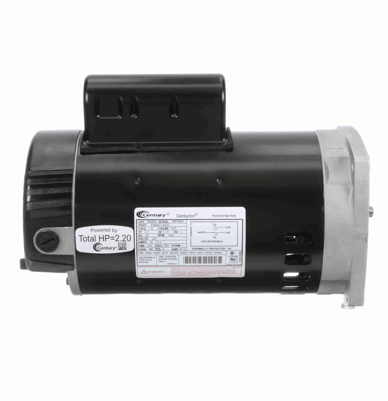 Century B2855 Pool Pump Motor, 2 HP, 1 Ph, 60 Hz, 230 V, 3600 RPM, 56Y Frame, ODP – Vita Pool Supply