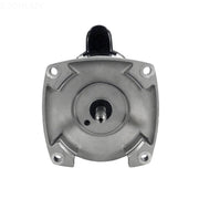 Century Centurion 1081 2 HP 56Y Frame Motor (B2859) – Vita Pool Supply