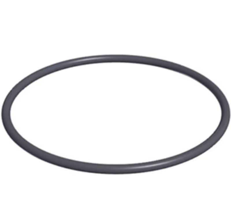 CMP PowerClean Ultra Replacement Cell O - Ring, 52000 - 200 - 101 – Vita Pool Supply