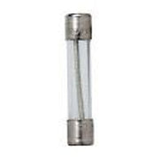 Coates 29015054 1/2 Amp Fuse 250V – Vita Pool Supply