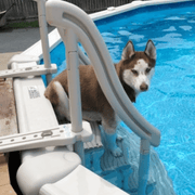 Confer CCX - AG Curve InPool 4 Step Entry for Above Ground Pools – Vita Pool Supply