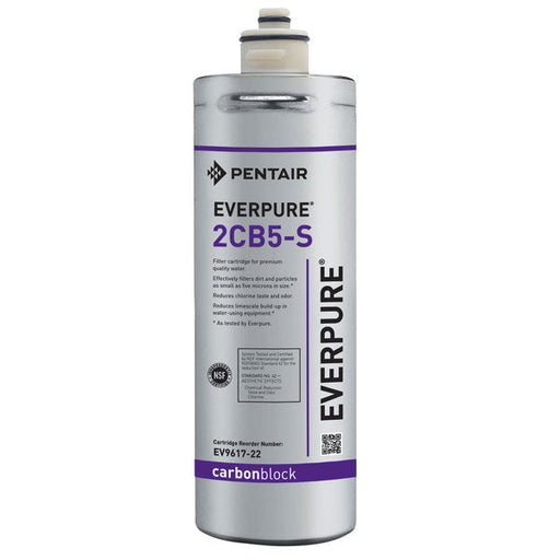 Everpure 2CB5-S EV9617-22 Filter Cartridge